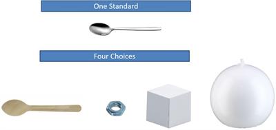 Preschoolers’ Induction of the Concept of Material Kind to Make Predictions: The Effects of Comparison and Linguistic Labels